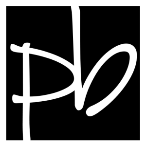 parking-brief-icon